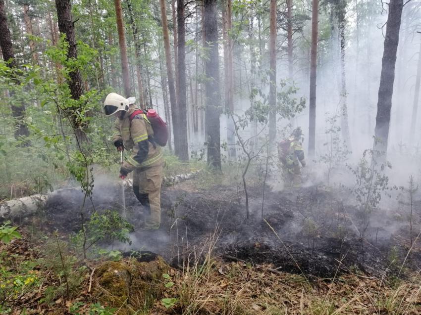 За минувшие сутки в Архангельской области обнаружены пять лесных пожаров